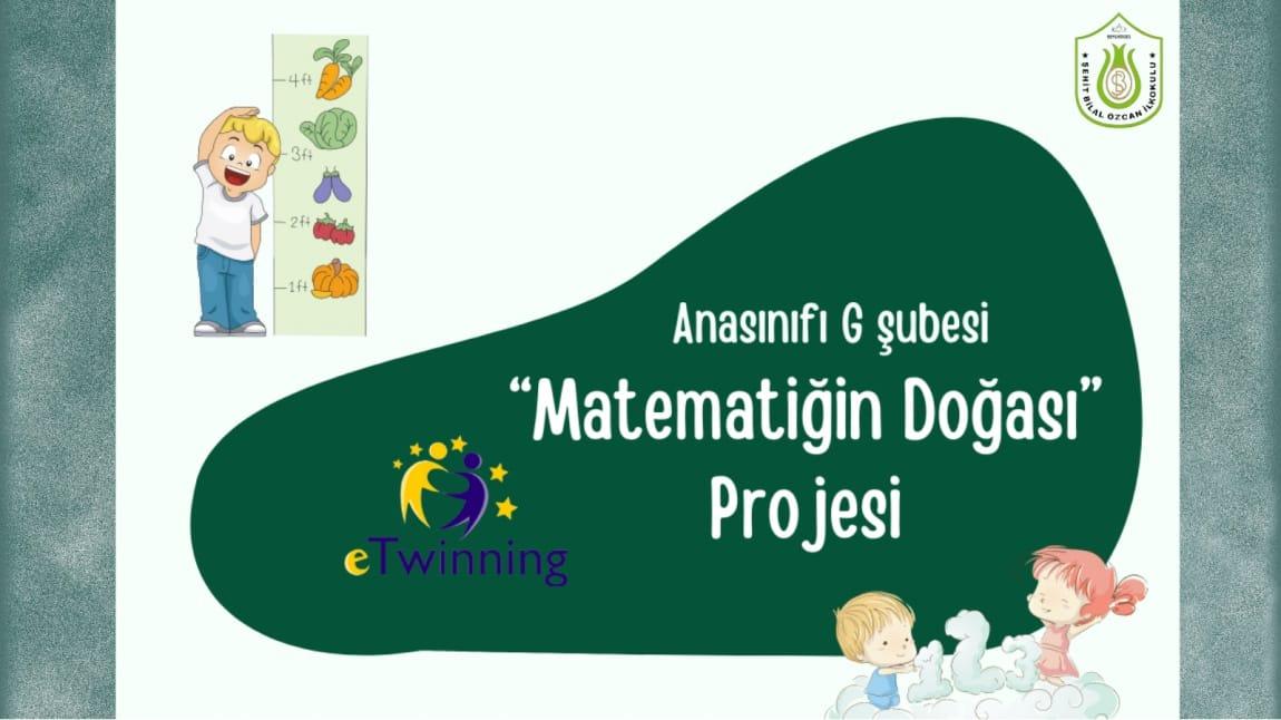 eTwinning PROJESİ MATEMATİĞİN DOĞASI